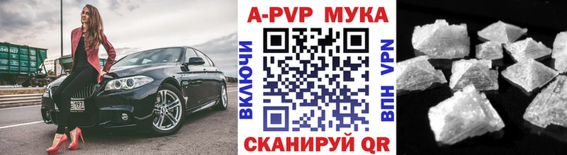 A-PVP СК  Новороссийск 