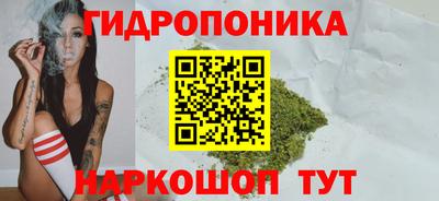 меф Дубна