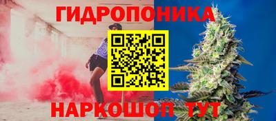 ПСИЛОЦИБИНОВЫЕ ГРИБЫ Донской
