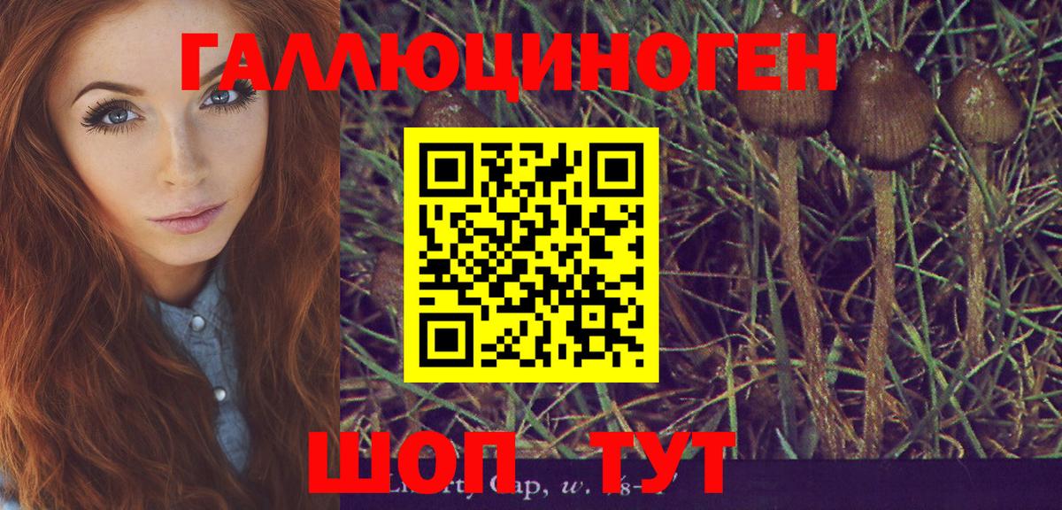 Новороссийск  Галлюциногенные грибы мицелий  Вход с VPN 