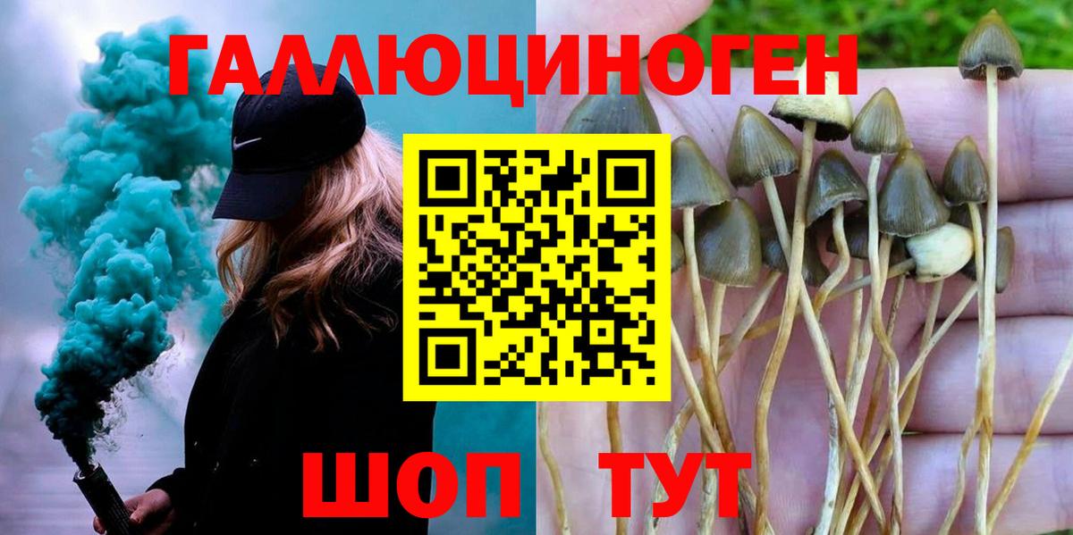 Галлюциногенные грибы Cubensis Новороссийск